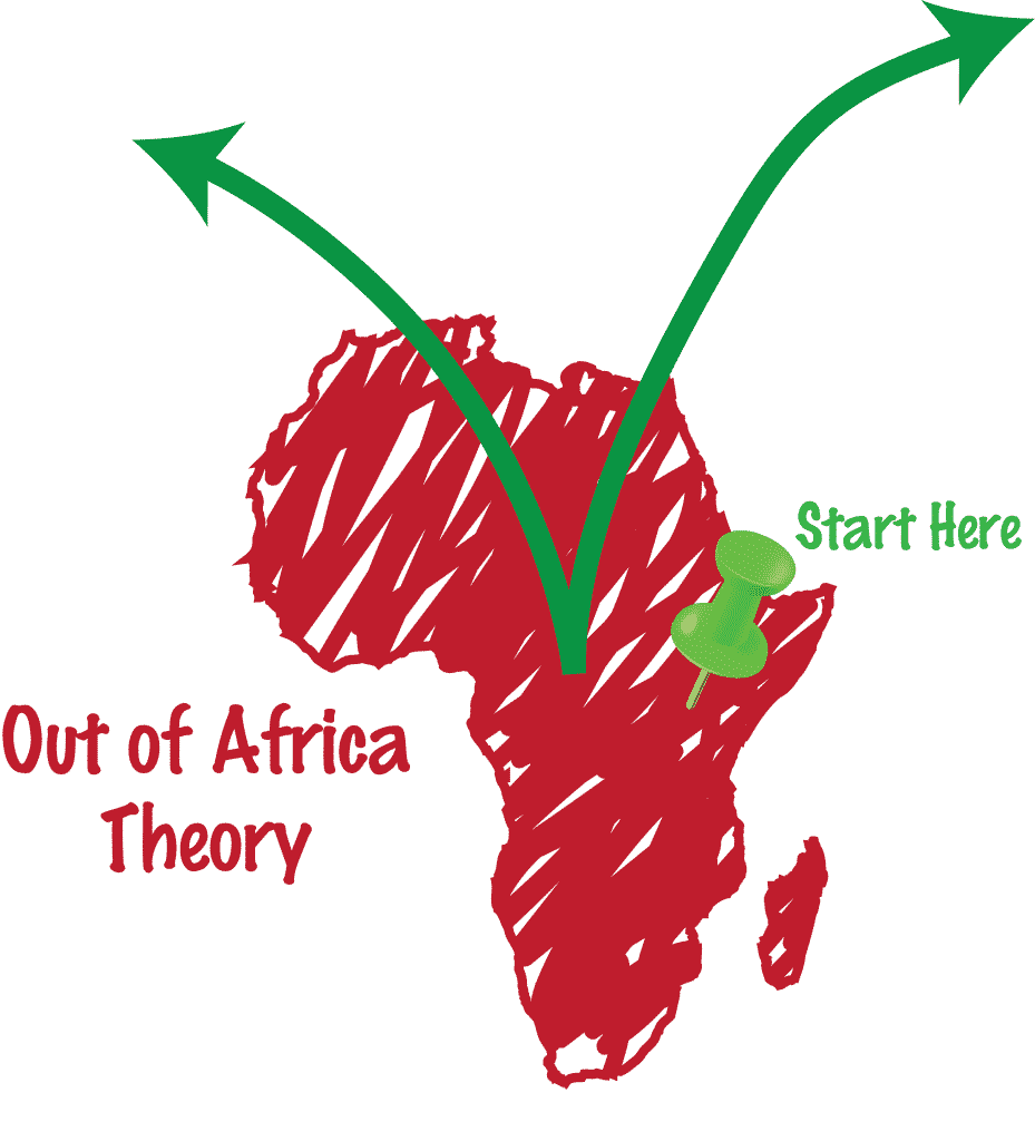 Diagram of the Out of Africa Theory