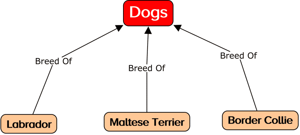 breeds of dogs