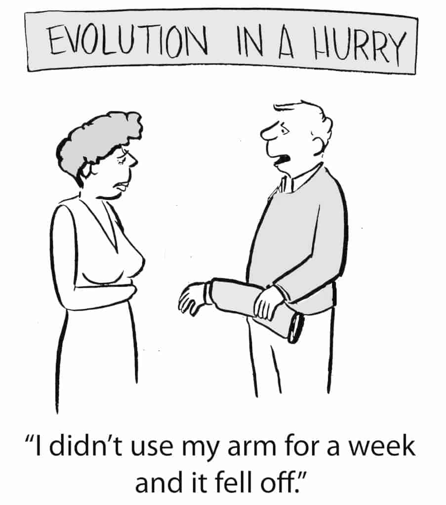 humorous visual - evolution in a hurry